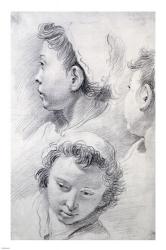 Three Studies of the Head of a Youth | Obraz na stenu