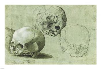 Study of Three Skulls | Obraz na stenu