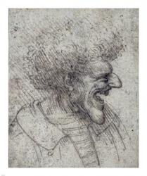 Caricature of a Man with Bushy Hair | Obraz na stenu