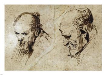 Two Studies of the Head of an Old Man | Obraz na stenu