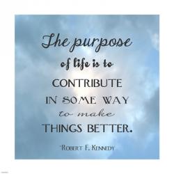 The Purpose of Life | Obraz na stenu