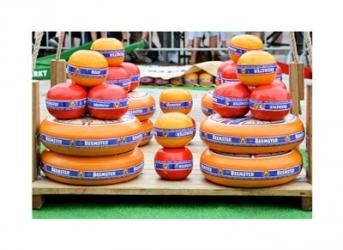 Dutch Cheese Market | Obraz na stenu