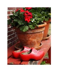 Dutch Clog Still Life | Obraz na stenu