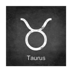 Taurus - Black | Obraz na stenu