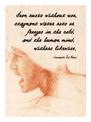 The Human Mind - Da Vinci Quote | Obraz na stenu