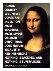 Human Subtlety -Da Vinci Quote | Obraz na stenu