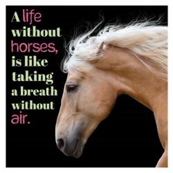 Horse Quote 7 | Obraz na stenu