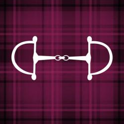 Horse Bit - Red Checkered | Obraz na stenu