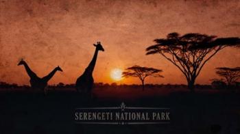 Vintage Sunset with Giraffes in Serengeti National Park, Africa | Obraz na stenu