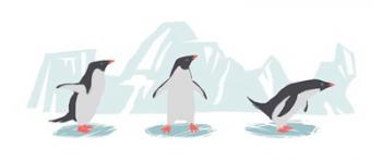 Minimalist Penguin Trio, Boys | Obraz na stenu