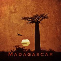 Vintage Baobab Trees at Sunset in Madagascar, Africa | Obraz na stenu