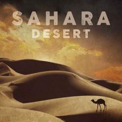 Vintage Sahara Desert with Sand Dunes and Camel, Africa | Obraz na stenu