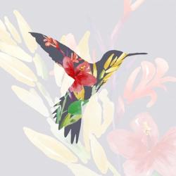 Grey Floral Hummingbird | Obraz na stenu