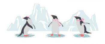 Minimalist Penguin Trio, Girls | Obraz na stenu