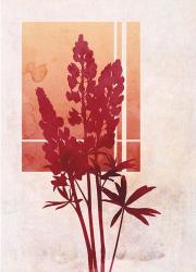 Ombre Lupine Flowers | Obraz na stenu