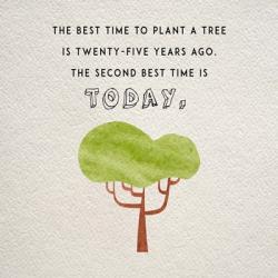 The Best Time to Plant a Tree | Obraz na stenu