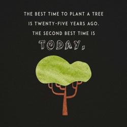 The Best Time to Plant a Tree on Black | Obraz na stenu