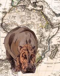 African Hippo | Obraz na stenu