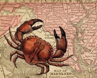 Maryland's Jumbo Crabs | Obraz na stenu
