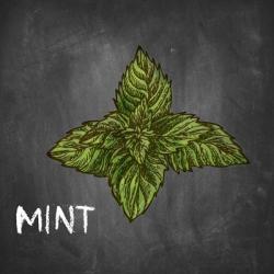 Mint on Chalkboard | Obraz na stenu