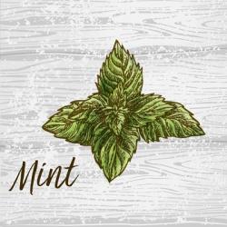 Mint on Wood | Obraz na stenu