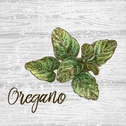 Oregano on Wood | Obraz na stenu