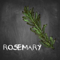 Rosemary on Chalkboard | Obraz na stenu