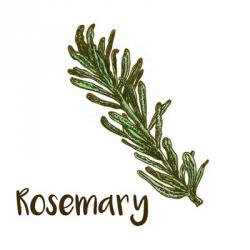 Rosemary | Obraz na stenu