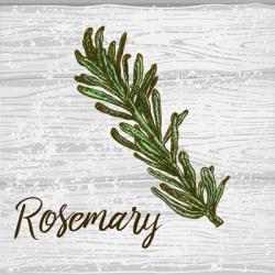Rosemary on Wood | Obraz na stenu