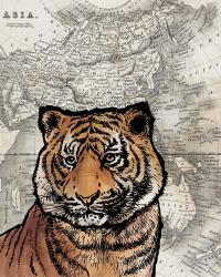 Asian Tiger | Obraz na stenu