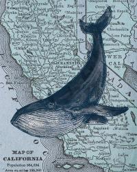 California's Grayback Whale | Obraz na stenu