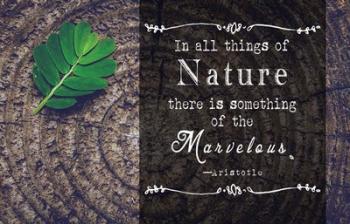 In all things of Nature | Obraz na stenu