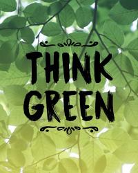Think Green Ombre Leaves | Obraz na stenu