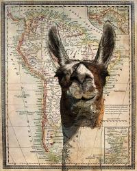 South America Llama Map | Obraz na stenu
