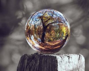 Pop of Color Glass Sphere | Obraz na stenu