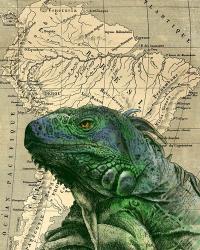 Brazilian Iguana | Obraz na stenu
