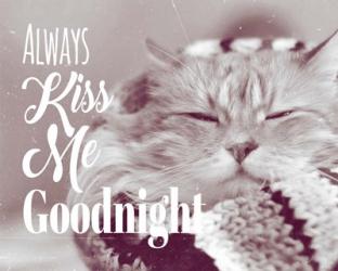 Always Kiss Me Goodnight Sleepy Cat | Obraz na stenu