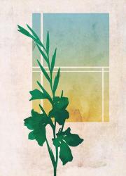 Ombre Gladiolus Flowers | Obraz na stenu