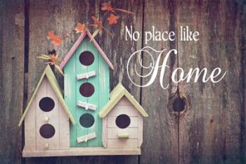 No Place Like Home Bird Houses | Obraz na stenu