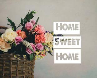 Home Sweet Home Flower Basket Color | Obraz na stenu