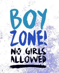 Boy Zone-Grunge | Obraz na stenu