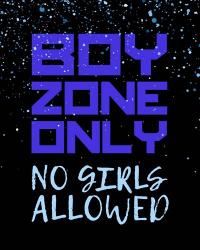 Boy Zone-Sparkle | Obraz na stenu