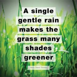 A Single Gentle Rain - Henry Thoreau Quote (Vibrant) | Obraz na stenu