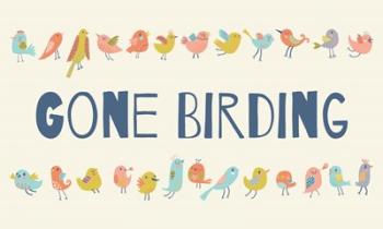 Gone Birding - Colorful Birds | Obraz na stenu