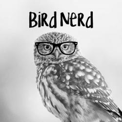 Bird Nerd - Owl | Obraz na stenu