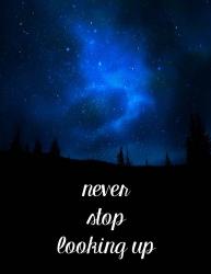 Never Stop Looking Up | Obraz na stenu