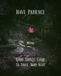 Good Things Come To Those Who Wait Pink Flower | Obraz na stenu