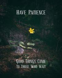 Good Things Come To Those Who Wait Yellow Flower | Obraz na stenu