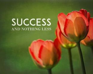 Success And Nothing Less - Flowers Color | Obraz na stenu