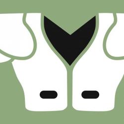 Football Close-ups - Shoulder Pads | Obraz na stenu